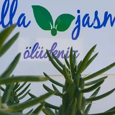 Jasmin *